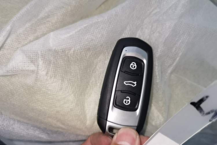 Used Geely Galaxy Panda 2024 Panda Mini 200km Endurance Bear Vehicle Key