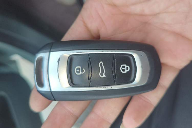Used Geely Galaxy Panda 2024 Panda Mini 200km Endurance Bear Vehicle Key