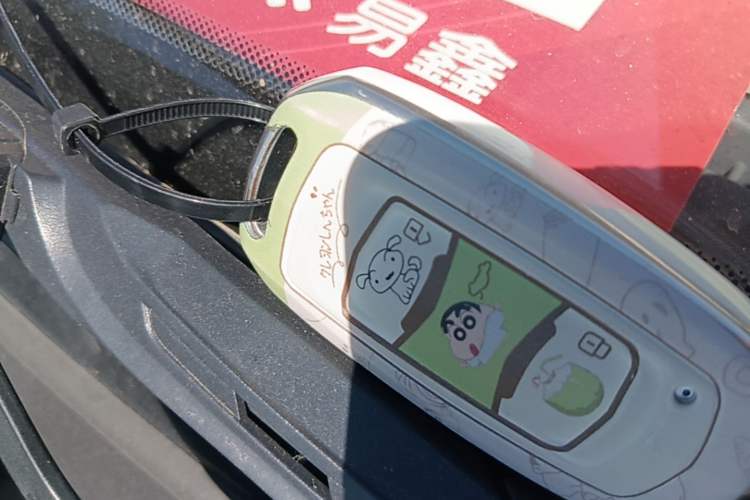 Used Geely Galaxy Panda 2024 Panda Mini 200km Endurance Bear Vehicle Key