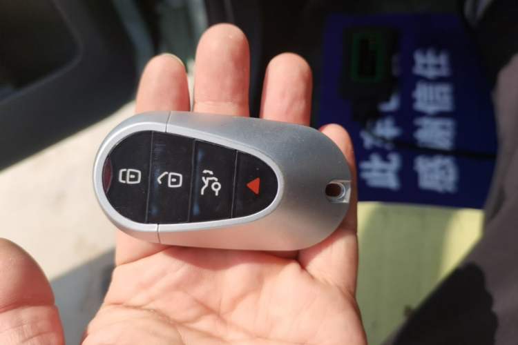 Used Geely Galaxy Panda 2024 Facelifted Panda Mini 200km Dragon Edition Vehicle Key