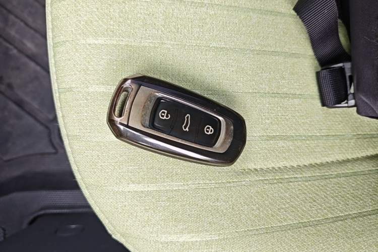 Used Geely Galaxy Panda 2024 Panda Mini 200km Endurance Bear Vehicle Key