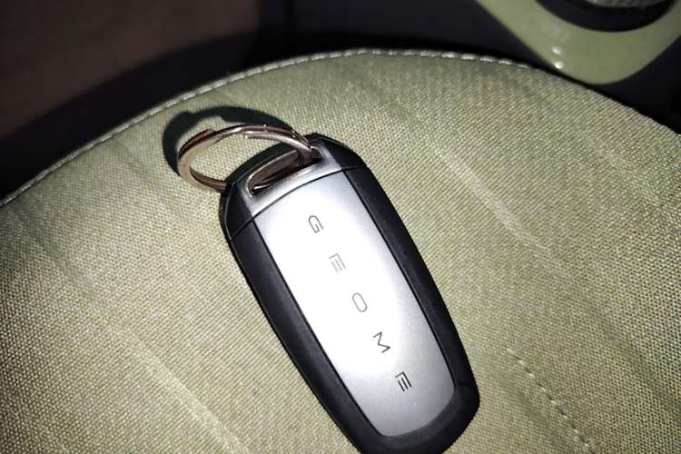 Used Geely Galaxy Panda 2024 Panda Mini 200km Endurance Bear Vehicle Key