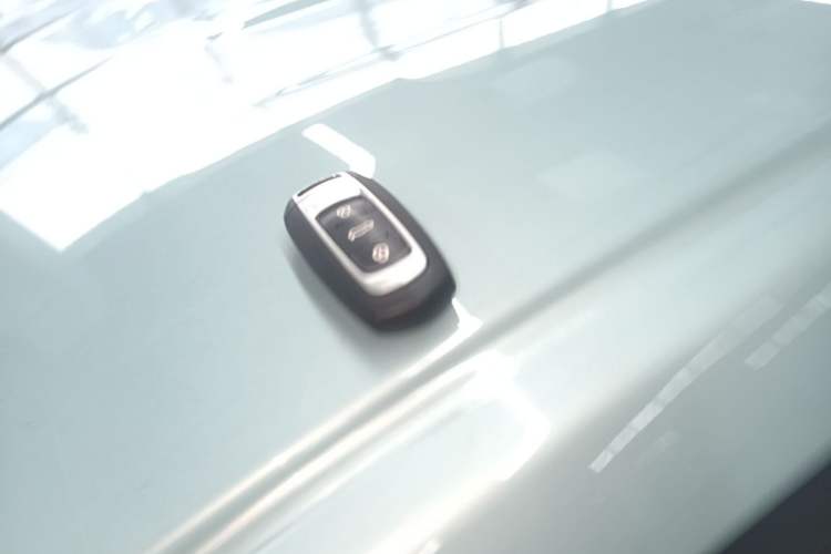 Used Geely Galaxy Panda 2024 Panda Mini 200km Endurance Bear Vehicle Key