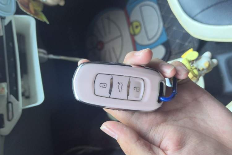 Used Geely Galaxy Panda 2024 Panda Mini 200km Endurance Bear Vehicle Key