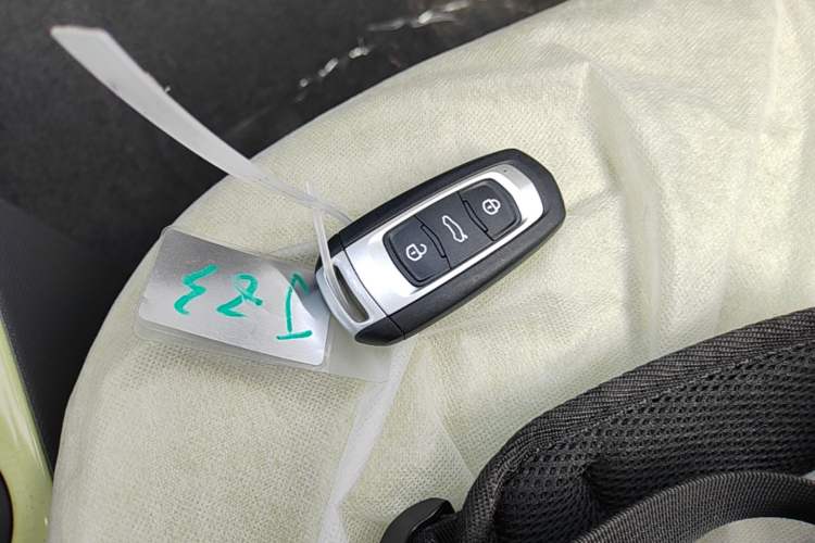 Used Geely Galaxy Panda 2024 Panda Mini 200km Endurance Bear Vehicle Key