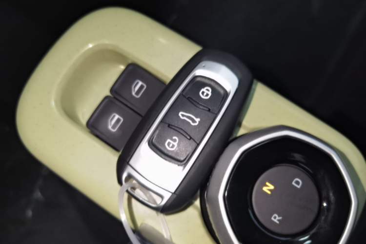 Used Geely Galaxy Panda 2024 Panda Mini 200km Endurance Bear Vehicle Key