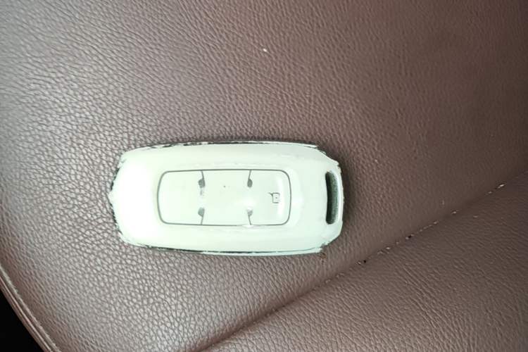 Used Geely Galaxy Panda 2024 Facelifted Panda Mini 200km Dragon Edition Vehicle Key