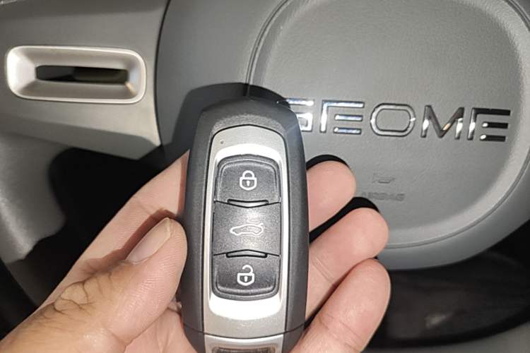 Used Geely Galaxy Panda 2024 Panda Mini 200km Endurance Bear Vehicle Key