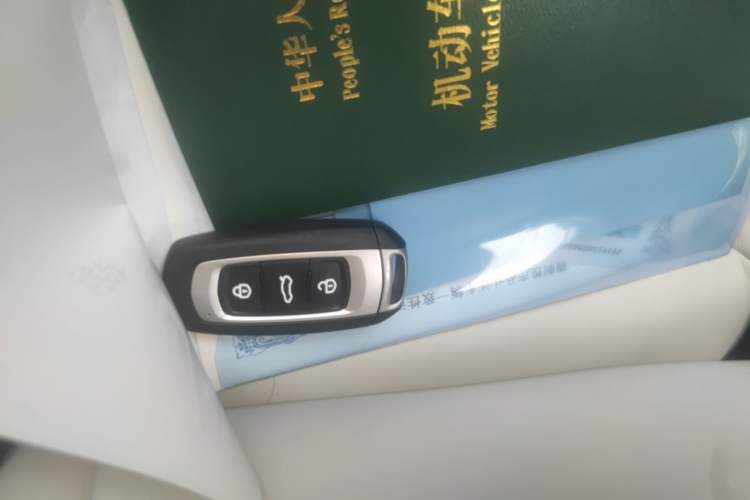 Used Geely Galaxy Panda 2024 Panda Mini 200km Endurance Bear Vehicle Key