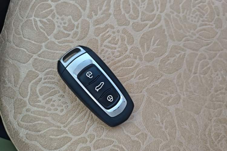 Used Geely Galaxy Panda 2024 Panda Mini 200km Endurance Bear Vehicle Key