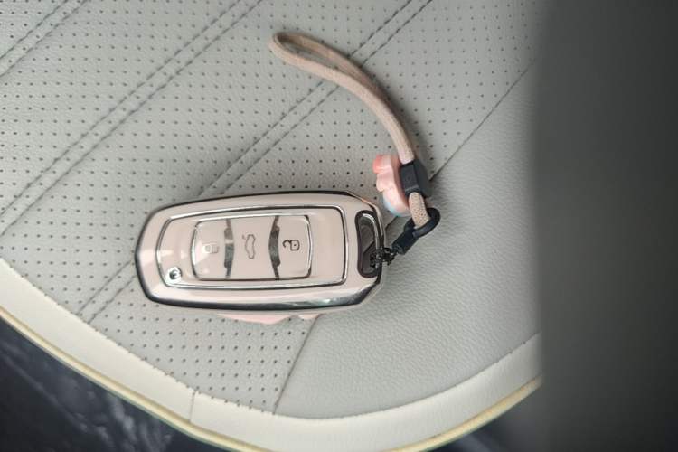 Used Geely Galaxy Panda 2024 Panda Mini 200km Endurance Bear Vehicle Key
