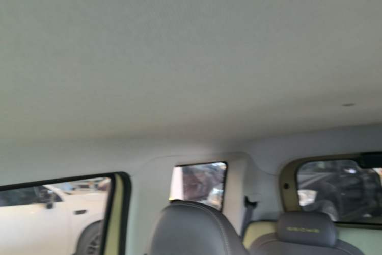 Used Geely Galaxy Panda 2024 200km Panda Rider Headliner