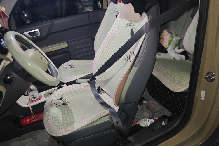Used Geely Galaxy Panda 2024 200km Panda Rider Left Front Seat