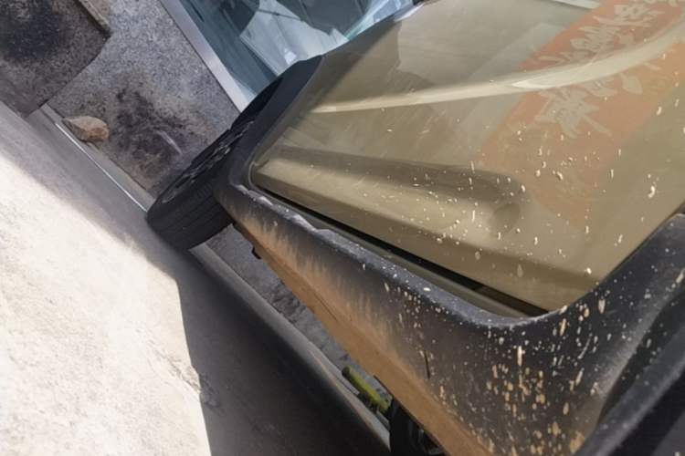 Used Geely Galaxy Panda 2024 200km Panda Rider Right Side Sill
