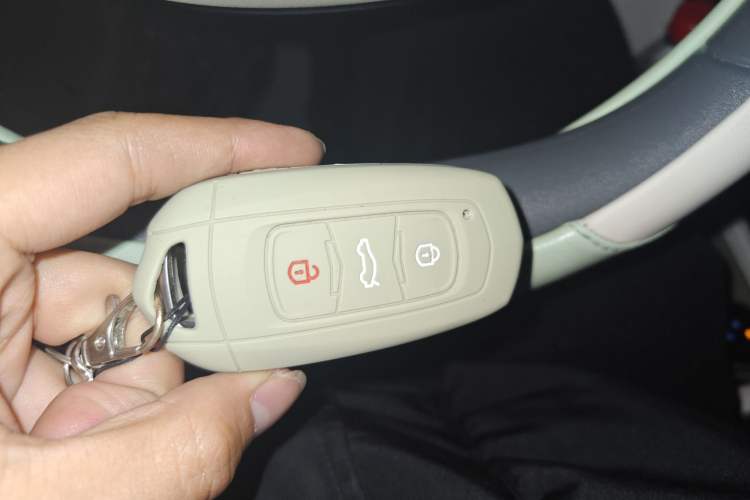 Used Geely Galaxy Panda 2024 200km Panda Rider Vehicle Key
