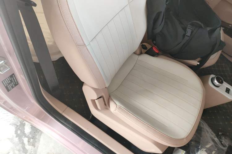 Used Geely Galaxy Panda 2024 Panda Mini 200km Endurance Bear Right Front Seat
