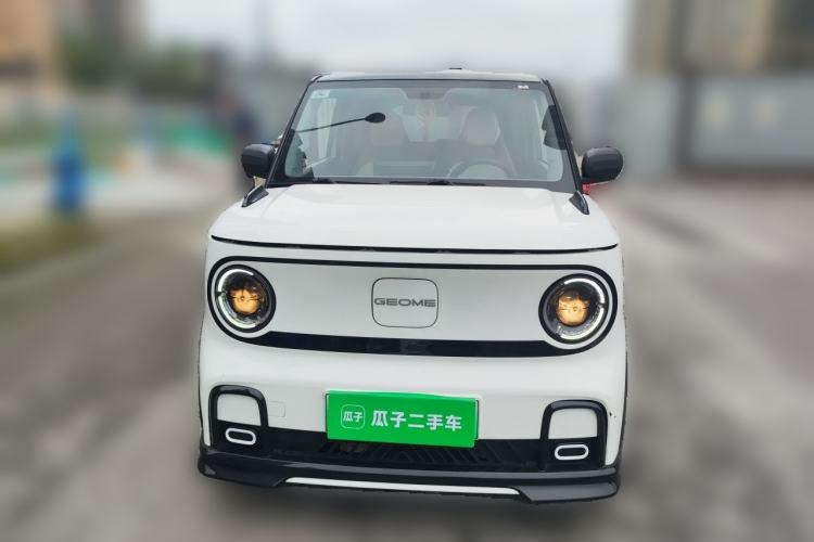 Used Geely Galaxy Panda 2024 200km Panda Kart Front