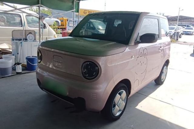 Used Geely Galaxy Panda 2024 Panda Mini 200km Endurance Bear