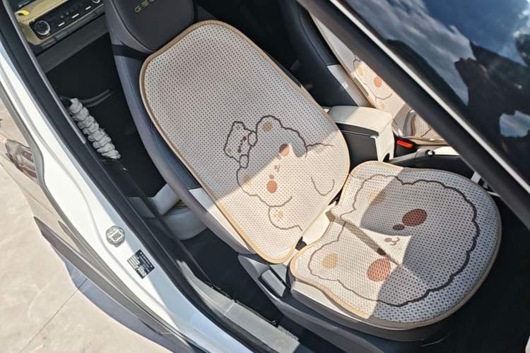 Used Geely Galaxy Panda 2024 200km Panda Rider Right Front Seat