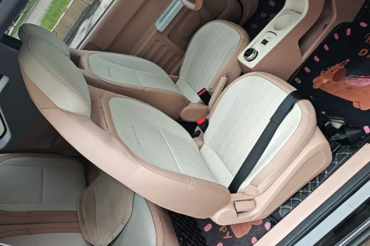 Used Geely Galaxy Panda 2024 200km Panda Kart Right Front Seat