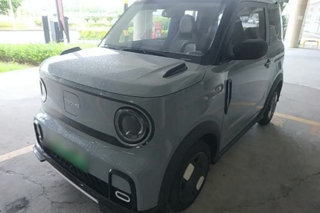 Used Geely Galaxy Panda 2024 200km Panda Kart