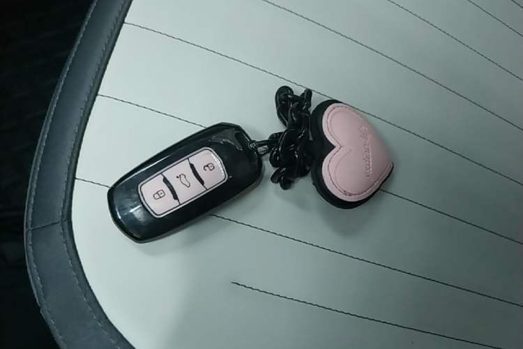 Used Geely Galaxy Panda 2024 200km Panda Kart Vehicle Key