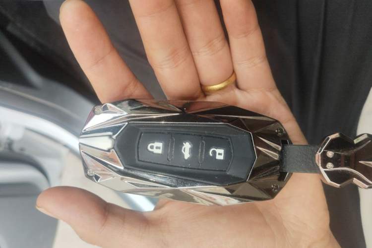 Used Geely Galaxy Panda 2024 200km Panda Rider Vehicle Key