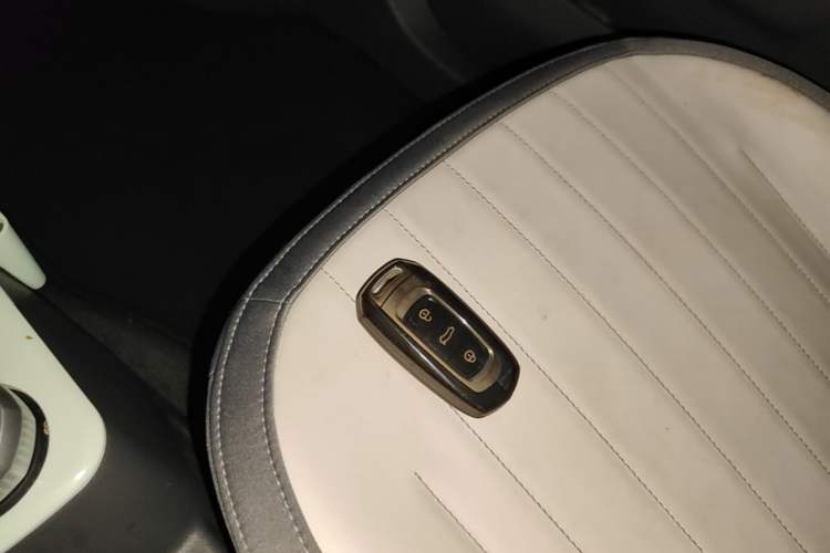 Used Geely Galaxy Panda 2024 200km Panda Kart Vehicle Key