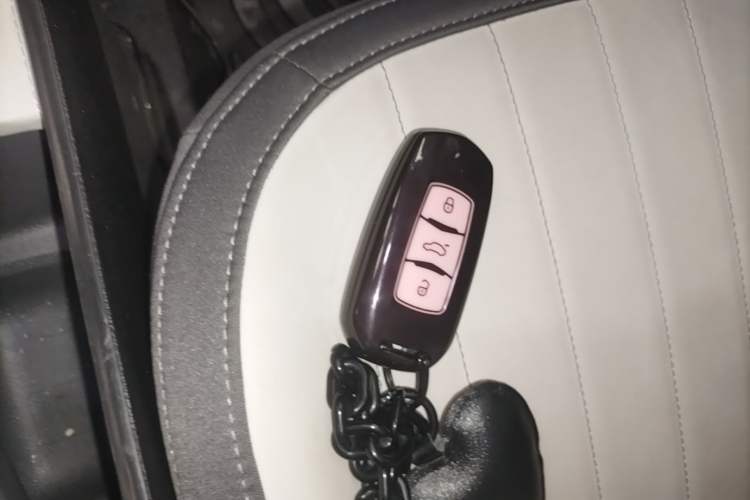 Used Geely Galaxy Panda 2024 200km Panda Kart Vehicle Key
