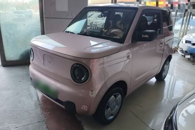 Used Geely Galaxy Panda 2024 Panda Mini 200km Endurance Bear