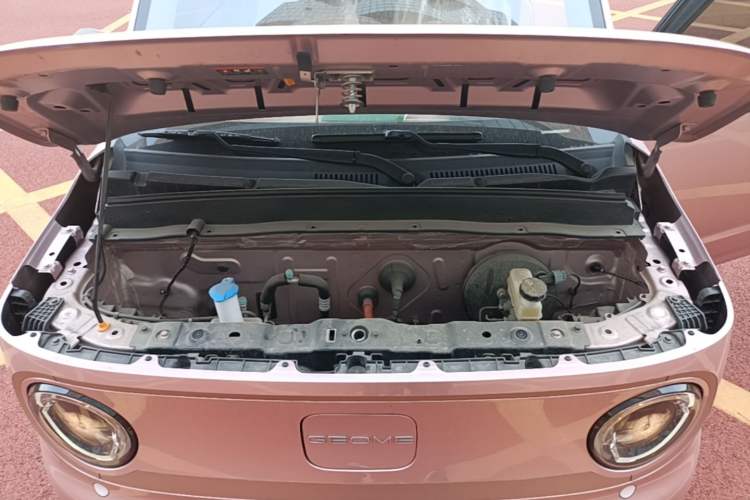 Used Geely Galaxy Panda 2024 Panda Mini 200km Endurance Bear Engine Bay