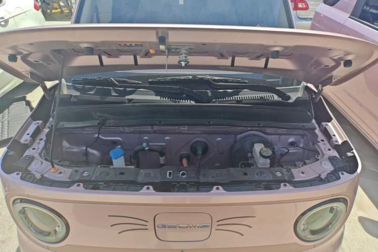 Used Geely Galaxy Panda 2024 Panda Mini 200km Endurance Bear Engine Bay