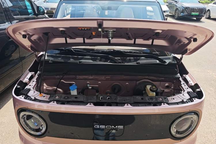 Used Geely Galaxy Panda 2024 Panda Mini 200km Endurance Bear Engine Bay