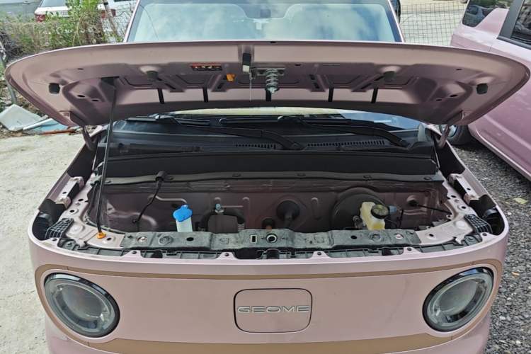 Used Geely Galaxy Panda 2024 Panda Mini 200km Endurance Bear Engine Bay
