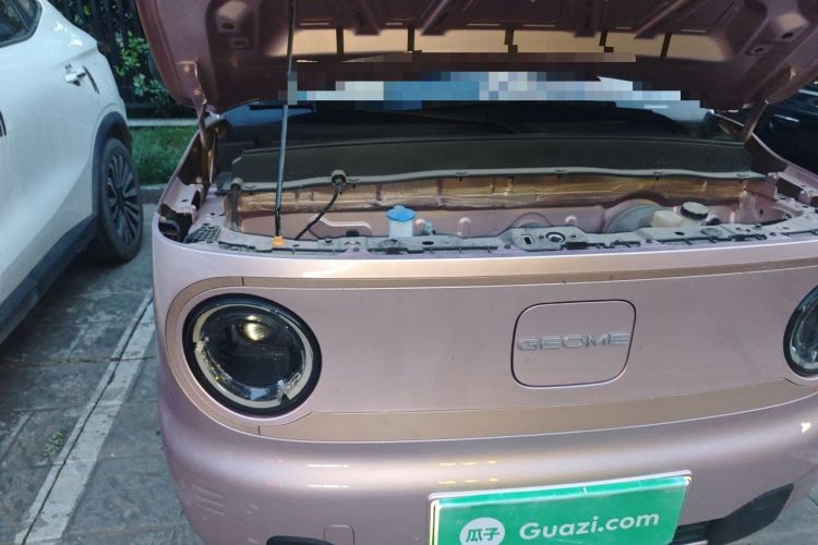 Used Geely Galaxy Panda 2024 Panda Mini 200km Endurance Bear Engine Bay Right