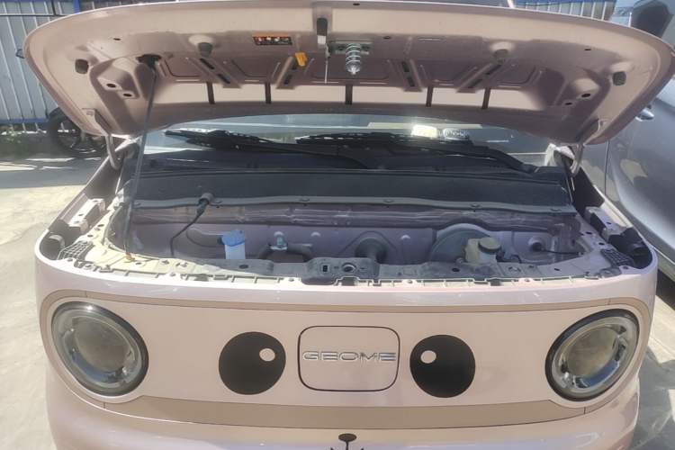 Used Geely Galaxy Panda 2024 Panda Mini 200km Endurance Bear Engine Bay