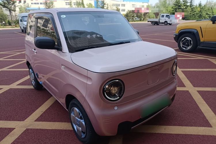 Used Geely Galaxy Panda 2024 Panda Mini 200km Endurance Bear Exterior 1
