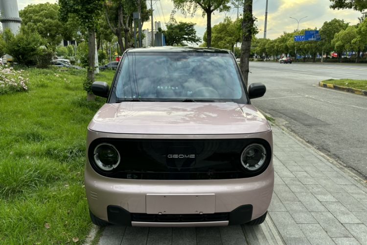 Used Geely Galaxy Panda 2024 Panda Mini 200km Endurance Bear Exterior 1