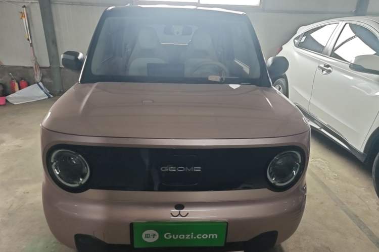 Used Geely Galaxy Panda 2024 Panda Mini 200km Endurance Bear Front
