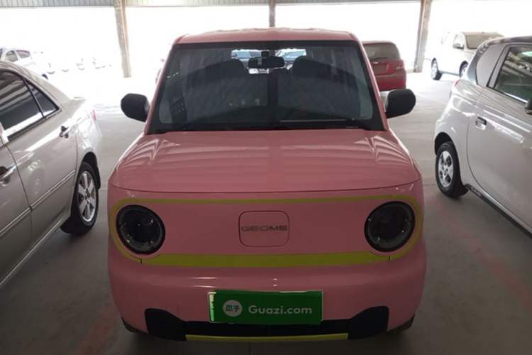 Used Geely Galaxy Panda 2024 Panda Mini 200km Endurance Bear Front