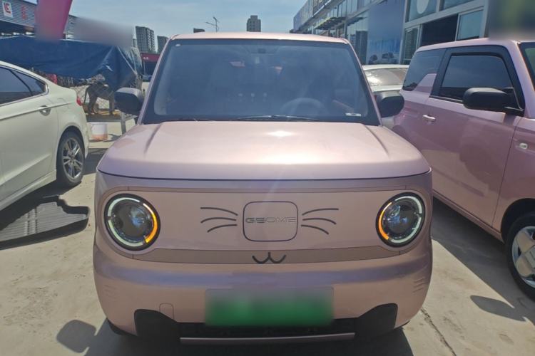 Used Geely Galaxy Panda 2024 Panda Mini 200km Endurance Bear Front