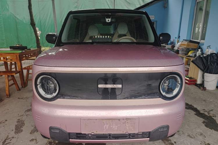 Used Geely Galaxy Panda 2024 Panda Mini 200km Endurance Bear Front