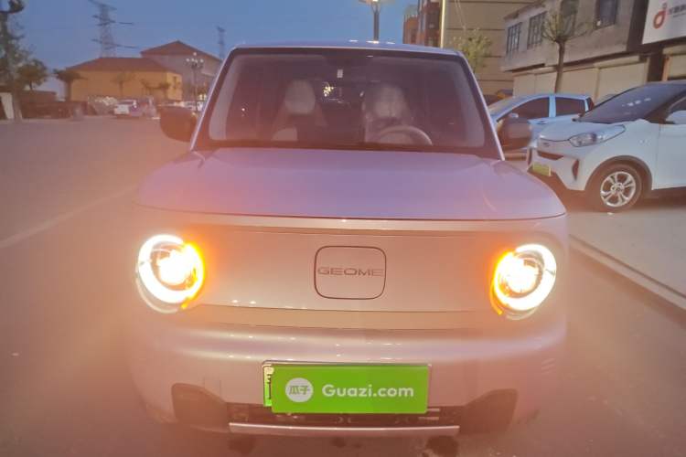 Used Geely Galaxy Panda 2024 Panda Mini 200km Endurance Bear Front