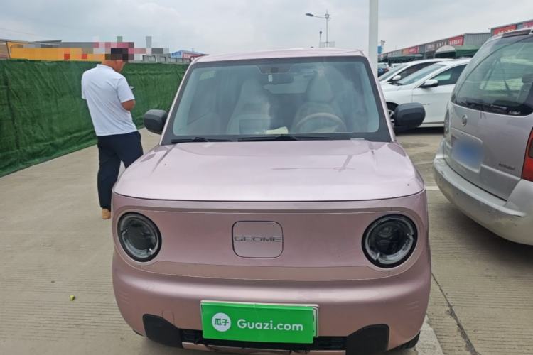 Used Geely Galaxy Panda 2024 Panda Mini 200km Endurance Bear Front