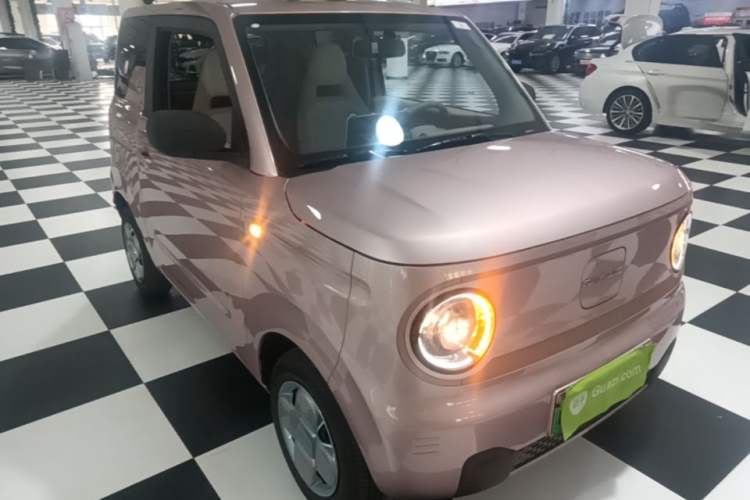 Used Geely Galaxy Panda 2024 Panda Mini 200km Endurance Bear Front Right 45 Deg