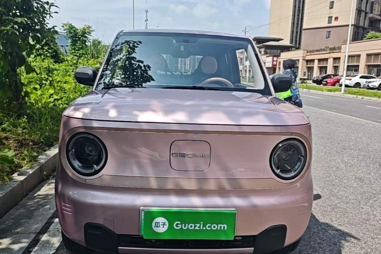 Used Geely Galaxy Panda 2024 Panda Mini 200km Endurance Bear Front