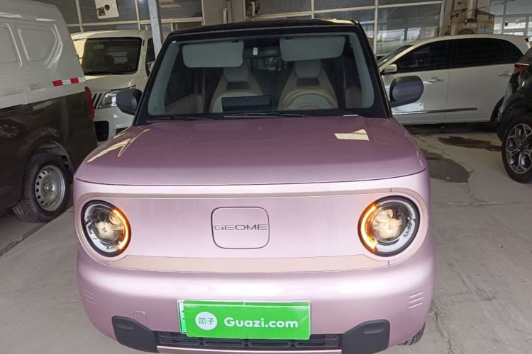 Used Geely Galaxy Panda 2024 Facelifted Panda Mini 200km Dragon Edition Front