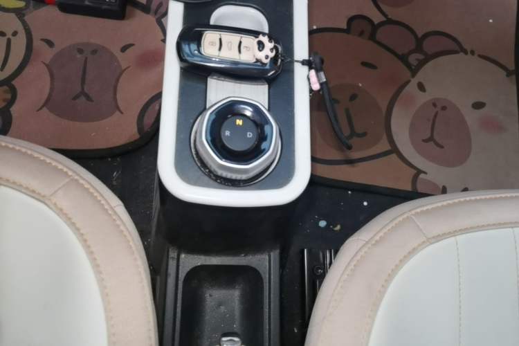 Used Geely Galaxy Panda 2024 Panda Mini 200km Endurance Bear Gear Lever