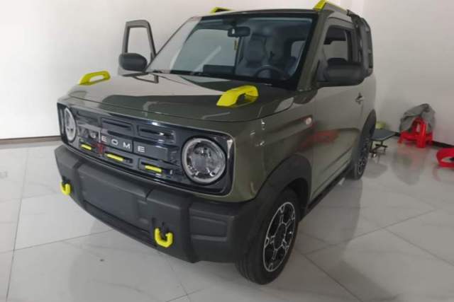 Used Geely Galaxy Panda 2024 200km Panda Rider
