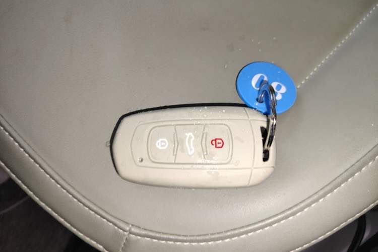 Used Geely Galaxy Panda 2024 200km Panda Rider Vehicle Key
